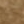 Deer brown