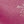 Mulberry pink