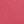 Peony red