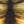 Camoflauge