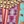 Multi