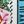 Multi
