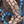 Blue black