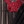 Red black