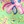Keylime floral