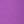 Paloma purple