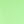 Citrus lime