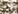 471 medium olive