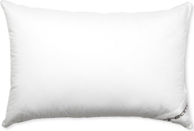 BRINKHAUS Dream goose down standard pillow