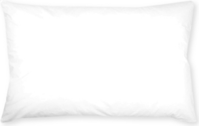 THE FINE BEDDING COMPANY Spundown children's pillow