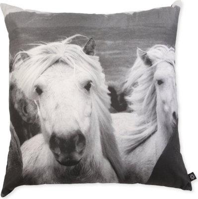 BY NORD Icelandic Horses cushion
