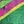 Pink/green