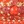 Coral/gold