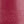 Festive fuschia