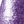 Purple night