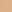 Beige rose t23