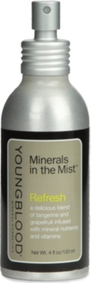 YOUNGBLOOD MINERAL COSMETICS Refresh Minerals in the Mist facial spray