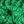 Chlorophyll