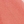 S302 fresh coral