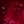 L104 deep fuchsia