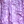E304 lilac