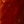 L202 dark blood