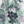Green floral binder