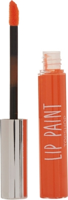 TOPSHOP SS13 Edit Lip Paint lip gloss