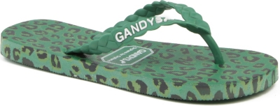 GANDYS Green Print