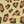 Leopard blk