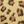 Leopard purple