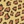 Leopard white
