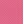 Phi phi pink