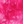 Fuschia