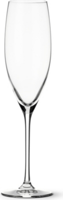 DARTINGTON Wine Master crystal Champagne glass