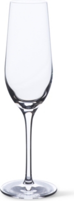 DARTINGTON Bare Essential 64 set of six crystalilne champagne flutes