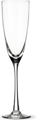 DARTINGTON Rachael crystal Champagne flute