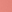 Carnation
