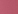 Rose berry