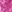 Electric violet