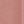 Pink seashell
