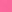 Pink lily