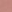 Pink seashell