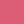Pink peony