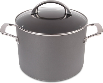 ANOLON Raymond Blanc non-stick stockpot with lid 24cm