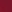 Red lizard