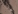 Copperplate