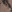 Copperplate