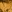 Goldenrod