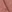 Midimauve